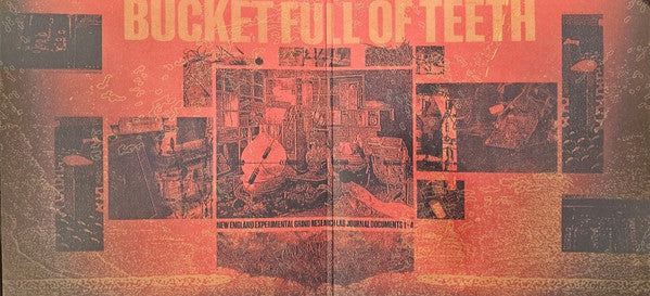Bucket Full Of Teeth : I II III IV (LP,45 RPM)