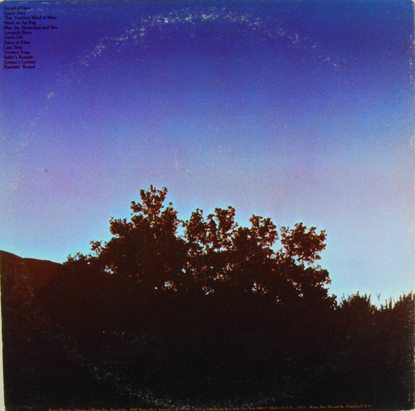 Arlo Guthrie : Last Of The Brooklyn Cowboys (LP,Album)