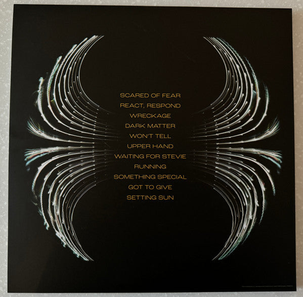 Pearl Jam : Dark Matter (LP,Album,Record Store Day,Stereo)