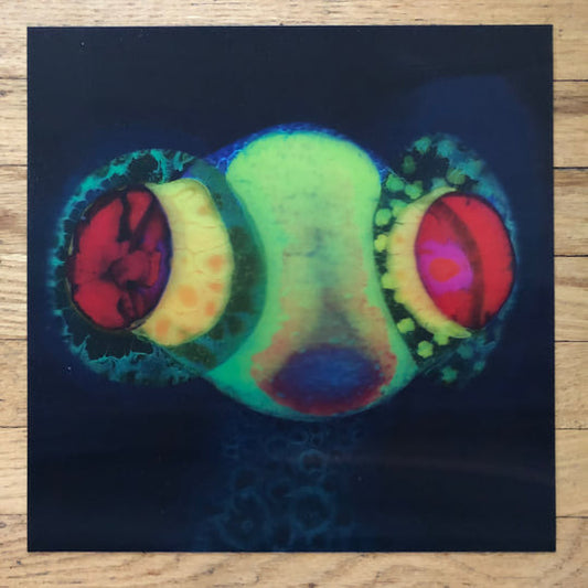 Thee Oh Sees : SORCS 80 (LP,Album,Limited Edition)