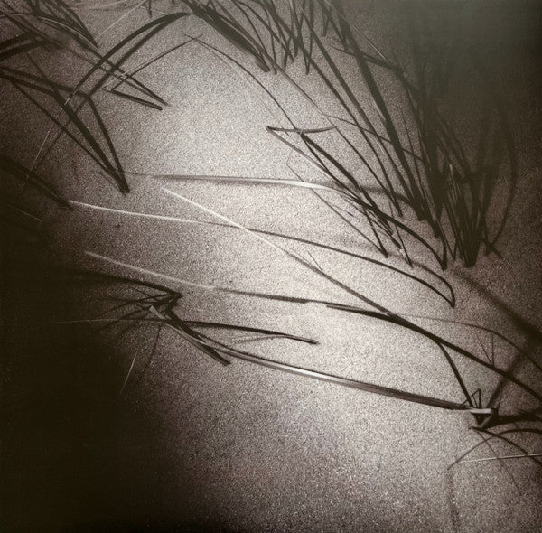 Harold Budd ▪ Elizabeth Fraser ▪ Robin Guthrie ▪ Simon Raymonde : The Moon And The Melodies (LP,Album,Reissue,Remastered)