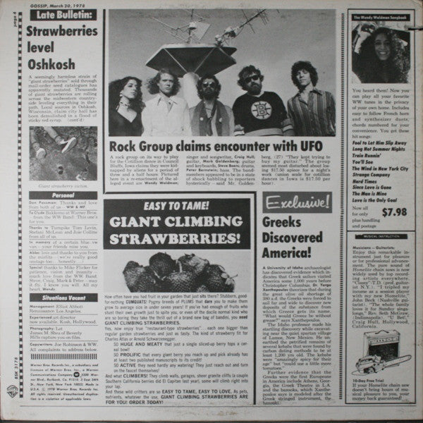 Wendy Waldman : Strange Company (LP,Album,Stereo)