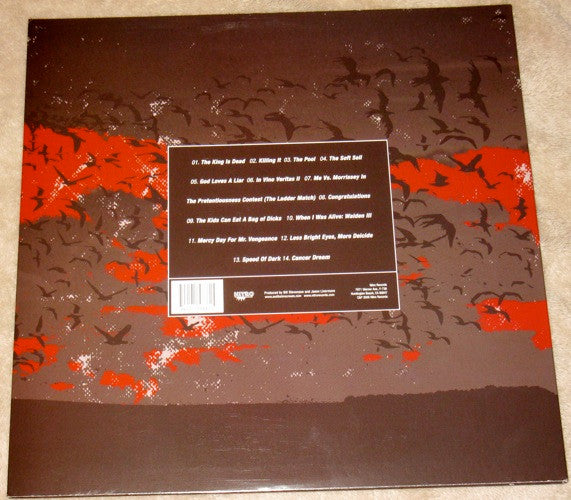 A Wilhelm Scream : Ruiner (LP,Album)