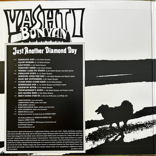 Vashti Bunyan : Just Another Diamond Day (LP,Album,Reissue,Stereo)
