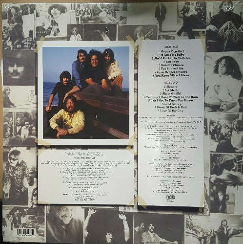 Turtles, The : Save The Turtles: The Turtles Greatest Hits (LP,Compilation,Remastered)