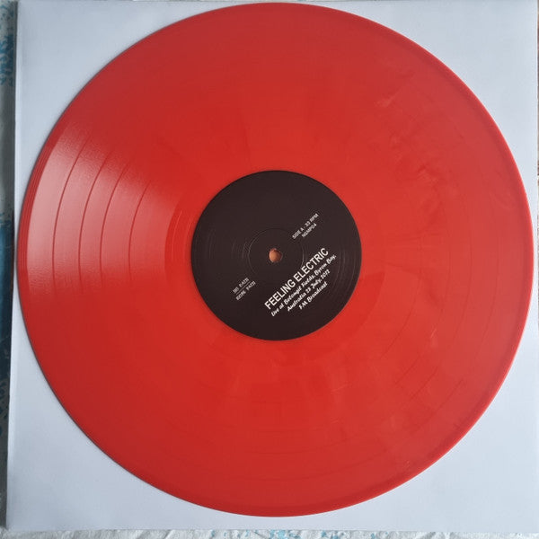 Lana Del Rey : Feeling Electric! (LP,Unofficial Release)