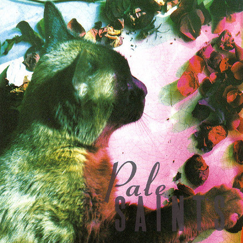 Pale Saints : The Comforts Of Madness (LP,Album,Reissue,Remastered)