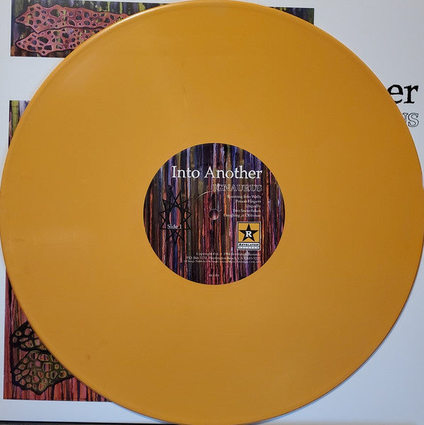Into Another : Ignaurus (LP,Album,Limited Edition,Repress)