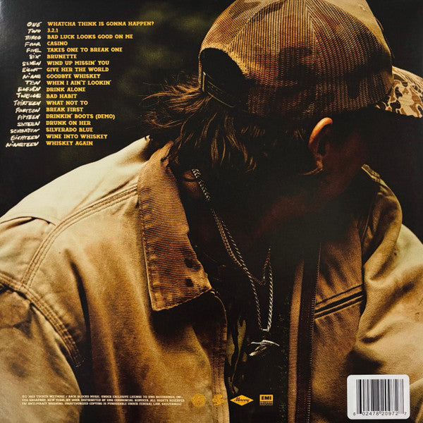 Tucker Wetmore : What Not To (LP,Album,Limited Edition)