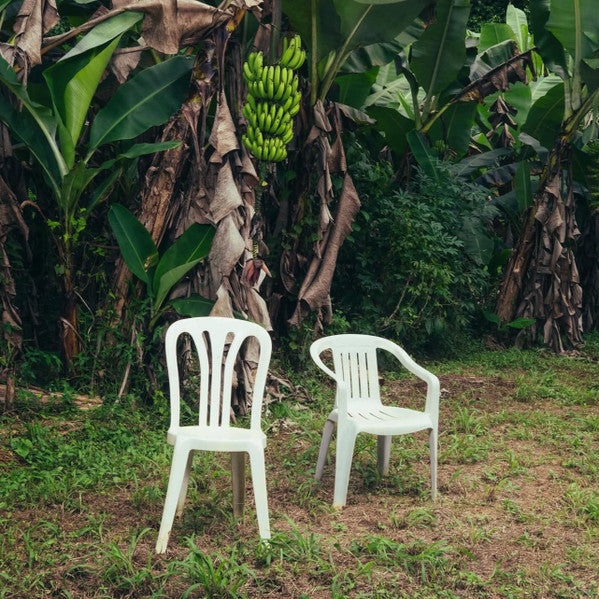 Bad Bunny : Debí Tirar Más Fotos (LP,Album,Stereo)