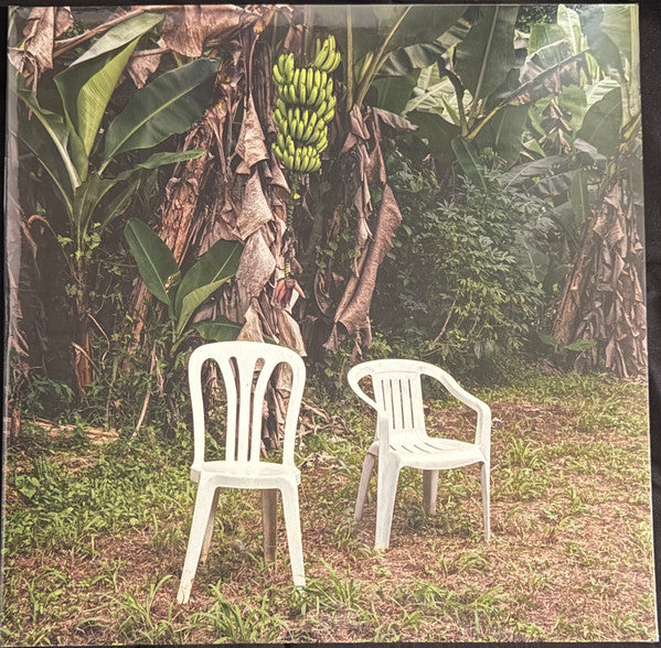 Bad Bunny : Debí Tirar Más Fotos (LP,Album,Stereo)