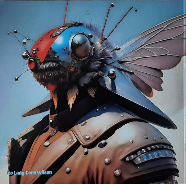 Butthole Surfers : Live At The Leather Fly (LP,Stereo)