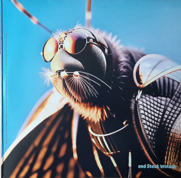 Butthole Surfers : Live At The Leather Fly (LP,Stereo)