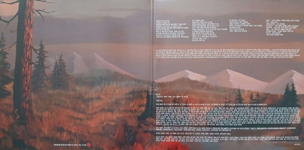 Weezer : Everything Will Be Alright In The End (LP,Album,Repress)