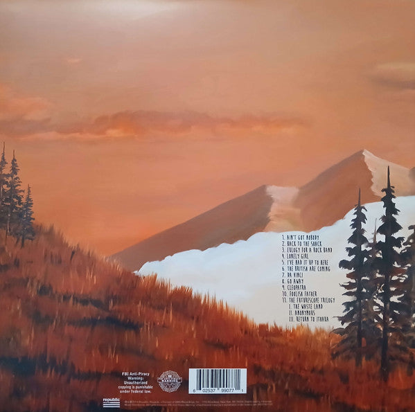 Weezer : Everything Will Be Alright In The End (LP,Album,Repress)