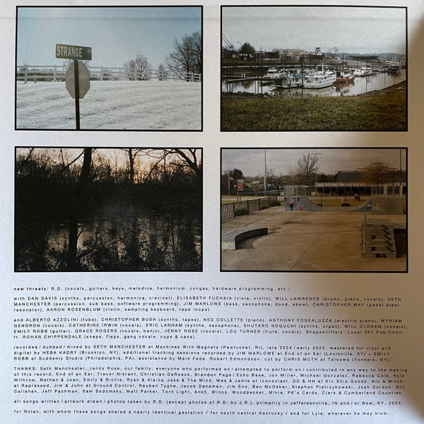 Ryan Davis & The Roadhouse Band : New Threats From The Soul (LP,Album)