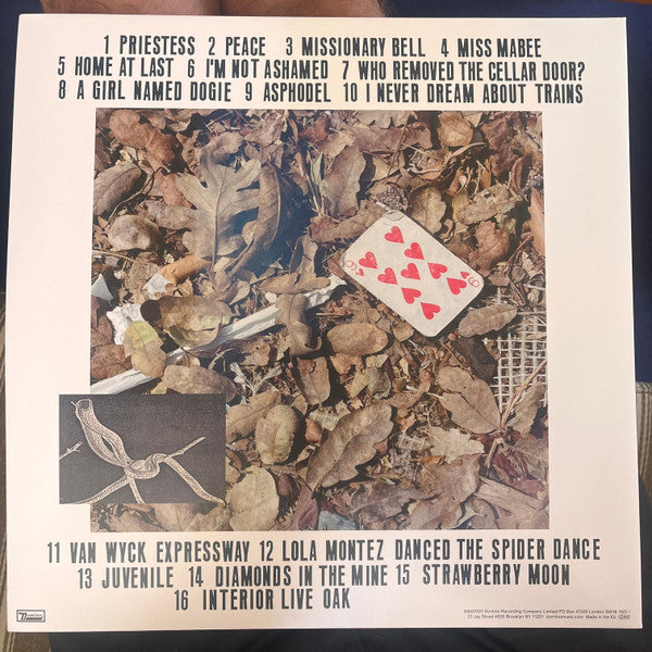 Cass McCombs : Interior Live Oak (LP)