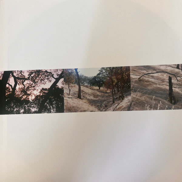 Cass McCombs : Interior Live Oak (LP)