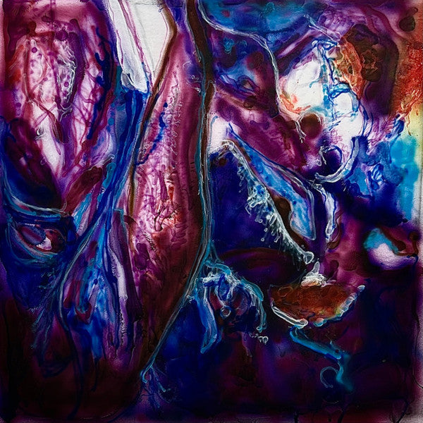 Whipping Boy (2) : Dysillusion: A Muru Muru Remix (LP,Album,Limited Edition,Remastered,Special Edition,Stereo)