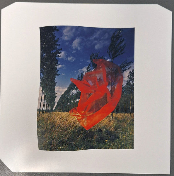 Pink Floyd : Wish You Were Here  (LP,Album,Limited Edition,Reissue,Remastered,Stereo)