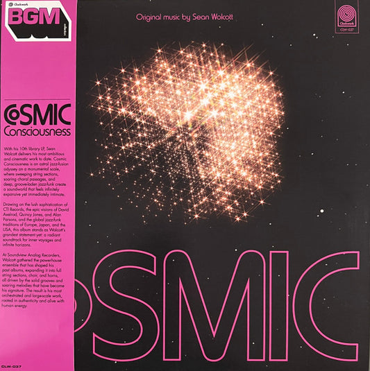 Sean Wolcott : Cosmic Consciousness (LP,Album,Stereo)