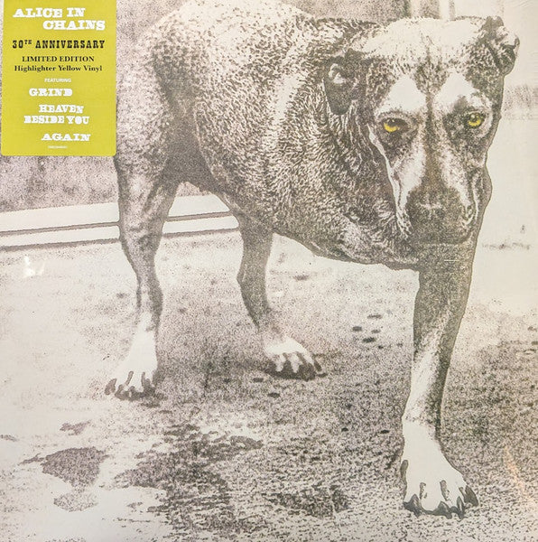 Alice In Chains : Alice In Chains (LP,Album,Limited Edition,Reissue,Stereo)