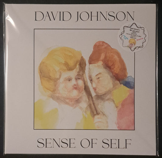 David Johnson 1234 : Sense Of Self (LP)