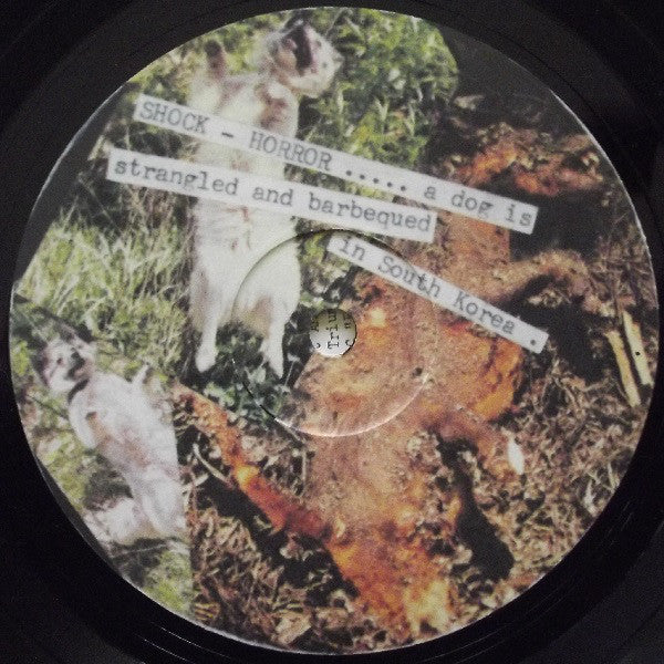 Active Minds (2) : Welcome To The Slaughterhouse (LP,Album)