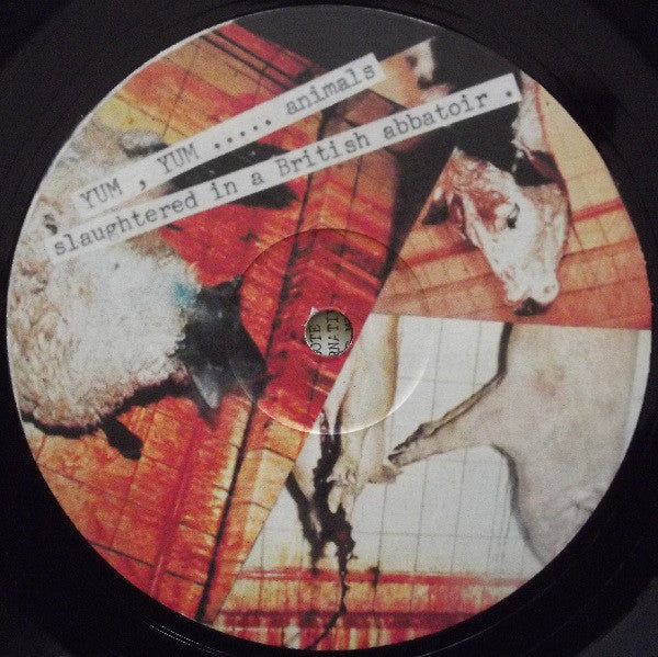 Active Minds (2) : Welcome To The Slaughterhouse (LP,Album)