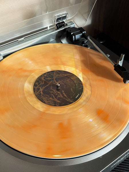 Band Of Horses : Everything All The Time (LP,Album,Reissue,Repress)