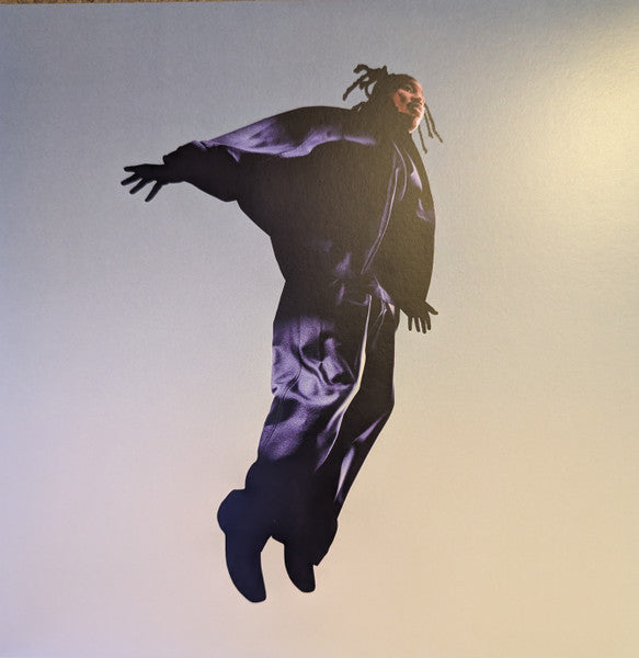 Mavi (12) : The Pilot (LP,Album,Limited Edition,Stereo)