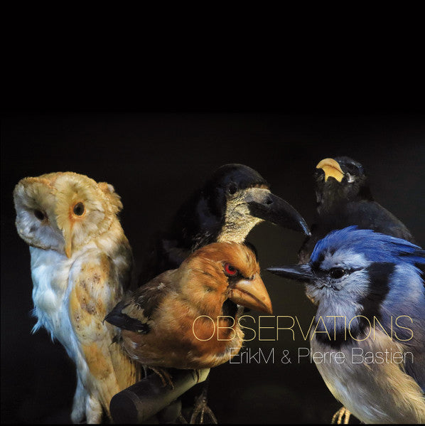 eRikm & Pierre Bastien : Observations (LP,Album,Limited Edition)