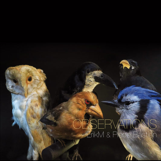 eRikm & Pierre Bastien : Observations (LP,Album,Limited Edition)