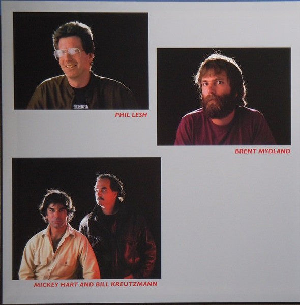 Grateful Dead, The : In The Dark (LP,Album,Limited Edition,Numbered,Reissue,Special Edition,Stereo)