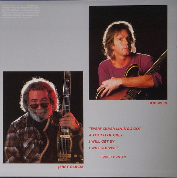 Grateful Dead, The : In The Dark (LP,Album,Limited Edition,Numbered,Reissue,Special Edition,Stereo)