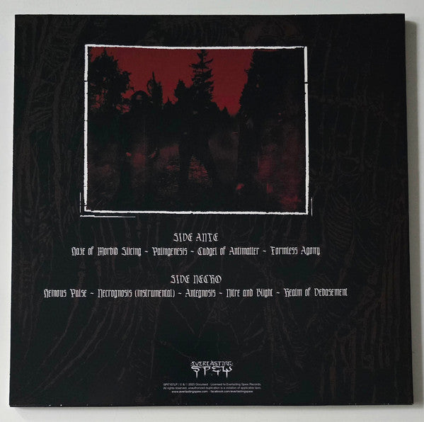 Occulsed : Antegnosis (LP,Album)