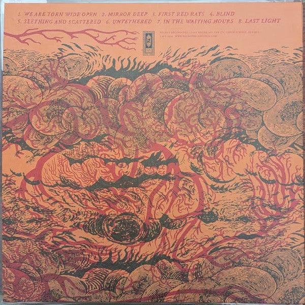 Neurosis : An Undying Love For A Burning World (LP,Album)