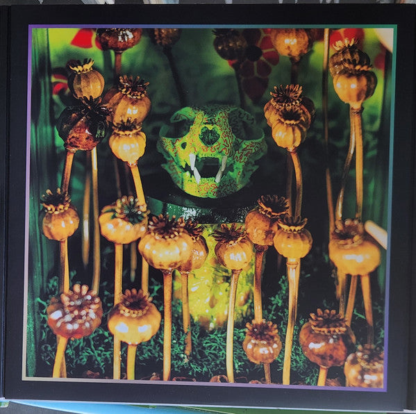 Coil : Astral Disaster (Prescription Editions) (LP,Album,Limited Edition,Reissue,Remastered)