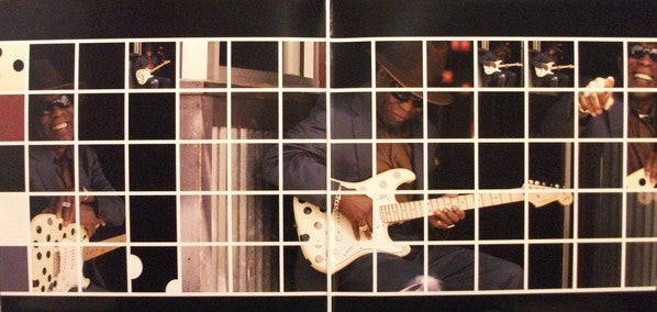 Buddy Guy : Skin Deep (LP,Album)