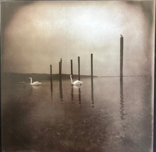 OM (8) : Conference Of The Birds (LP,Album,Reissue)
