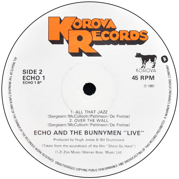 Echo & The Bunnymen : Shine So Hard (12",45 RPM,Single)
