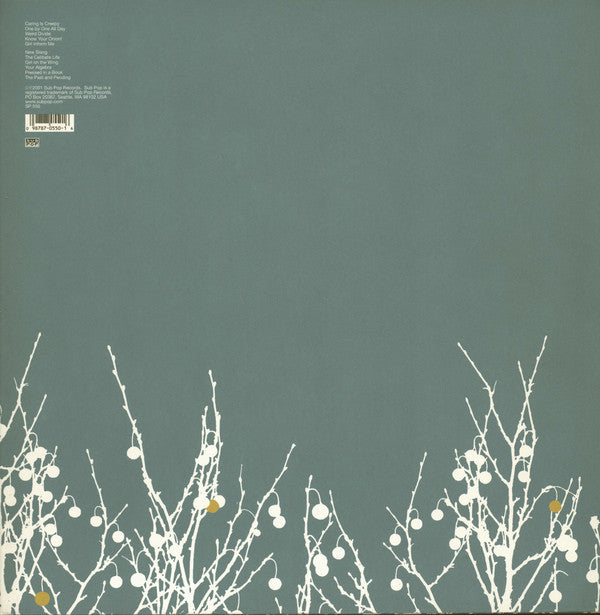 Shins, The : Oh, Inverted World (LP,Album)