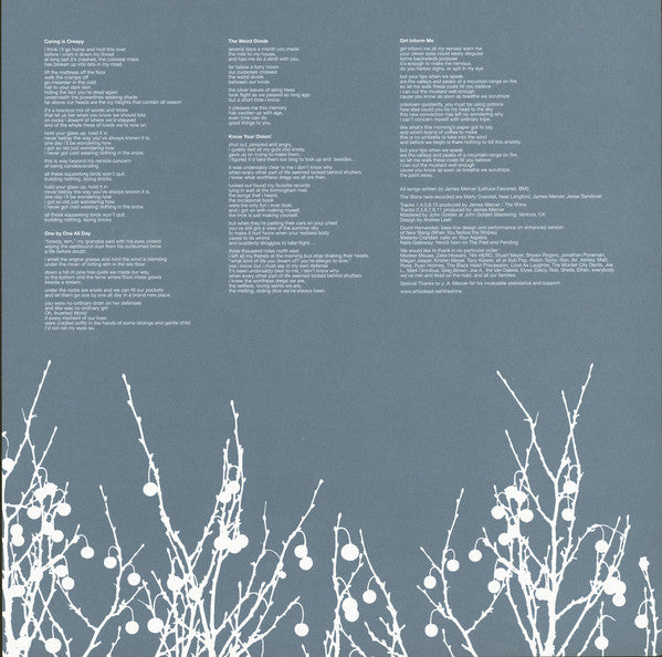 Shins, The : Oh, Inverted World (LP,Album)