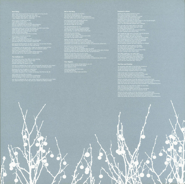 Shins, The : Oh, Inverted World (LP,Album)