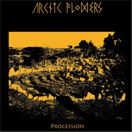 Arctic Flowers : Procession (12",45 RPM)
