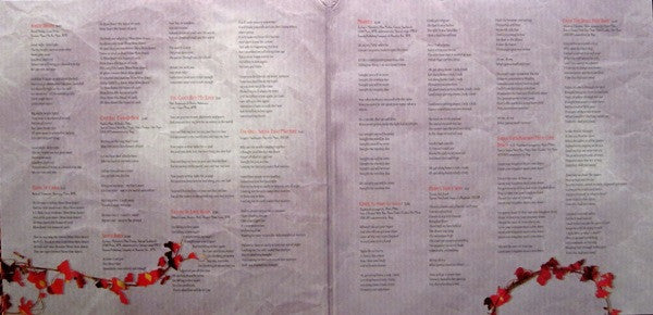 Robert Plant : Band Of Joy (LP)