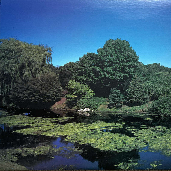 Shellac : Terraform (LP,Album)