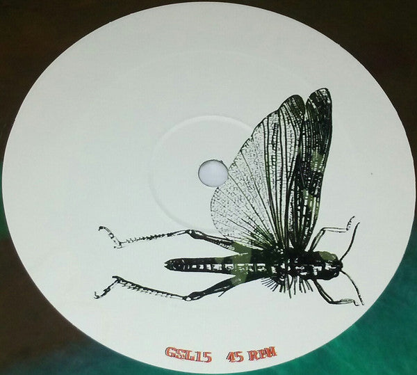 Locust, The : The Locust (LP,45 RPM,Album)