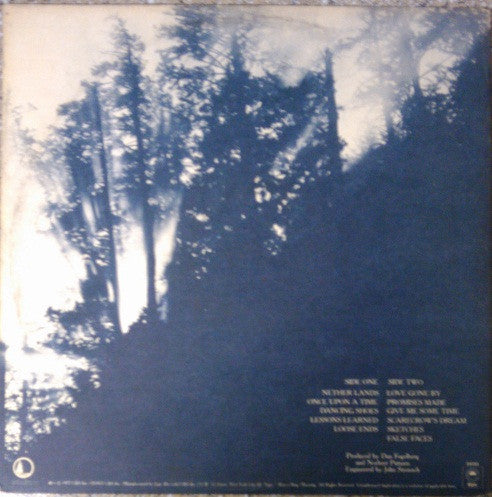 Dan Fogelberg : Nether Lands (LP,Album,Stereo)