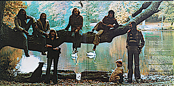 Fleetwood Mac : Penguin (LP,Album,Promo,Stereo)